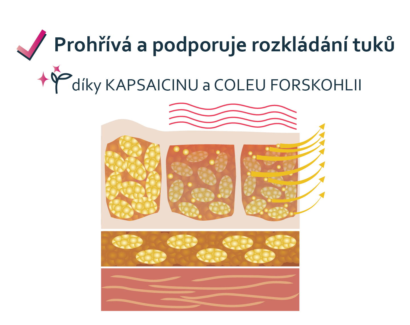 efekty_prohriva